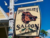 The Buffalo Society
