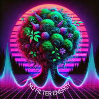 No Filter Energy by Hollis Grey