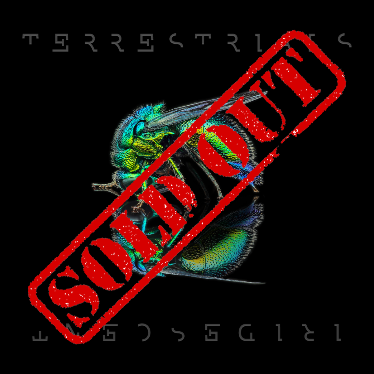 Iridescent: (CD) - SOLD OUT