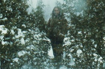 Maurice In the Woods - 1969
