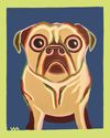 Pug Dog Print