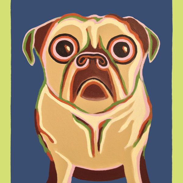 Pug Dog Print