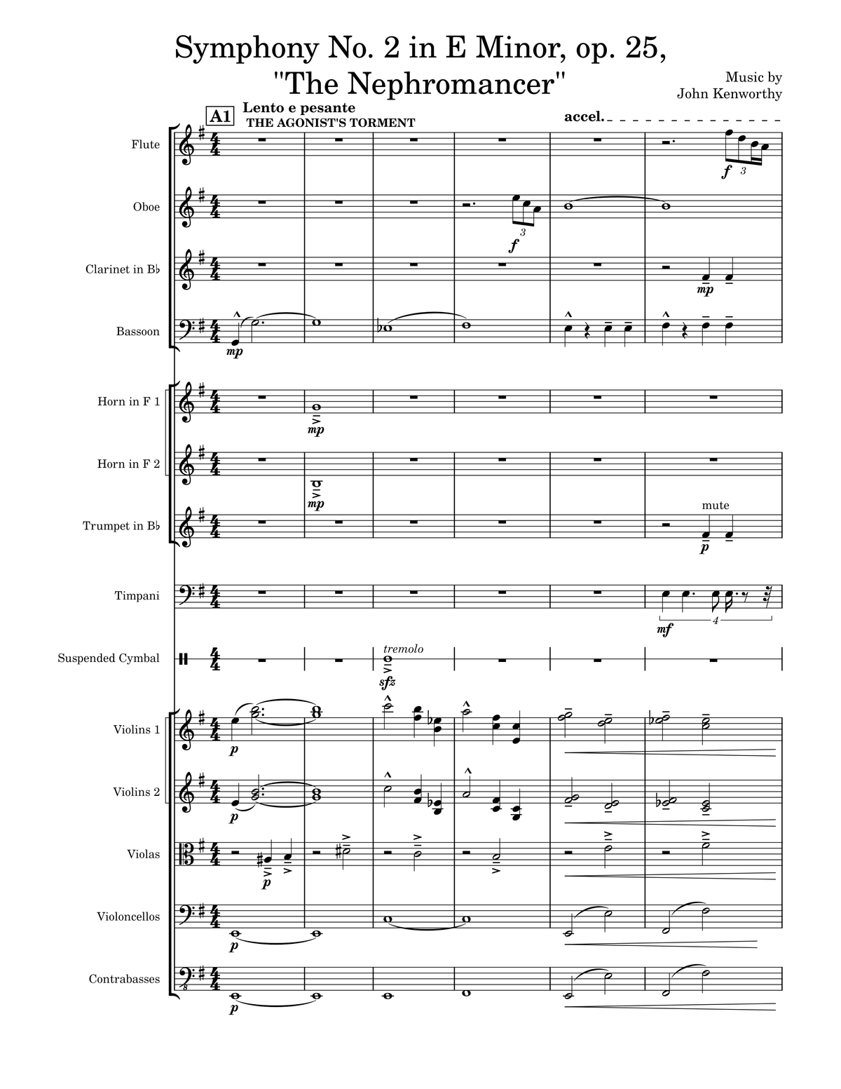 Symphony No. 2 in E Minor, op. 25, “The Nephromancer”