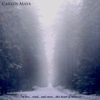of fire... wind... and snow... this heart of mine...  by Carlos Maya