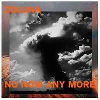No Now Any More by Zoluna