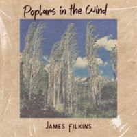 Poplars in the Wind by James Filkins
