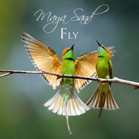 Fly by Maya Sand
