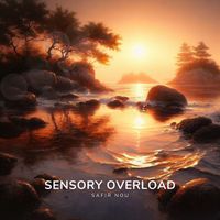 Sensory Overload  by Safir Nou 