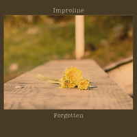 Forgotten by Improline