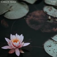 Lotus by Carlos Maya
