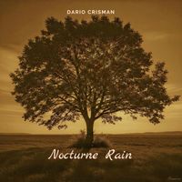 Nocturne Rain by Dario Crisman