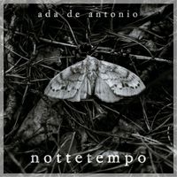 Nottetempo by Ada De Antonio