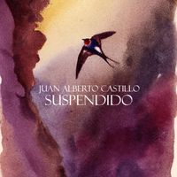 Suspendido by Juan Alberto Castillo