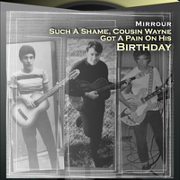 Such A Shame, Cousin Wayne Got A Pain On His Birthday (Single Version) by Mirrour