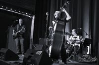 The Chevys Band at the 100 Mile House Legion