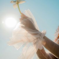 The softness in you by Blu Loy