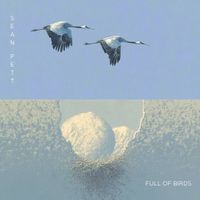 Full Of Birds by Sean Pett