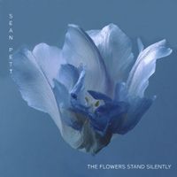 The Flowers Stand Silently by Sean Pett