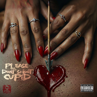 Please Don't Shoot Cupid by Royal Flush Collective