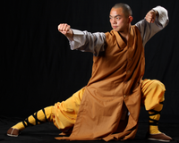 Shaolin Kung Fu Monk -  Free Demonstration