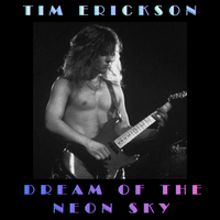 "Dream Of The Neon Sky" (Light Up The Night) by Tim Erickson