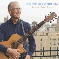 Never Too Late by Bruce Rosenblum