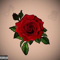Why by ZMula