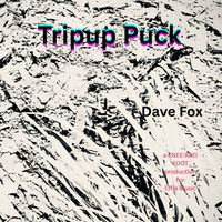 Tripup Puck by Dave Fox 