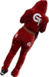 Velour G pants
