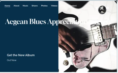 ABAS Blues Academy    & Club Annual Membership