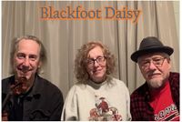 Blackfoot Daisy@Wild Heaven Avondale