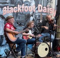 Blackfoot Daisy@Georgia Mushroom Festival