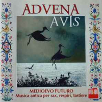 Medioevo Futuro by Advena Avis