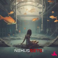 NEXUS SETS I by DifferentLands