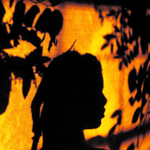 Pensive Poetics - CD