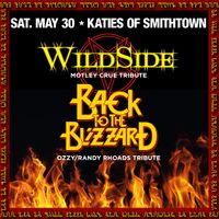 Back To The Blizzard/Wildside