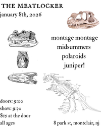 Midsummers "The Different Kinds of Phrase Tour" Ft. Montage Montage, Polaroids, and Juniper!