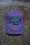 Car Distressed pony cap