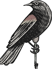 The Bellfounders' Blackbird
