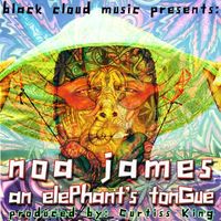 An Elephant's Tongue by Noa James