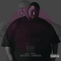 Beautiful Darkness by Noa James