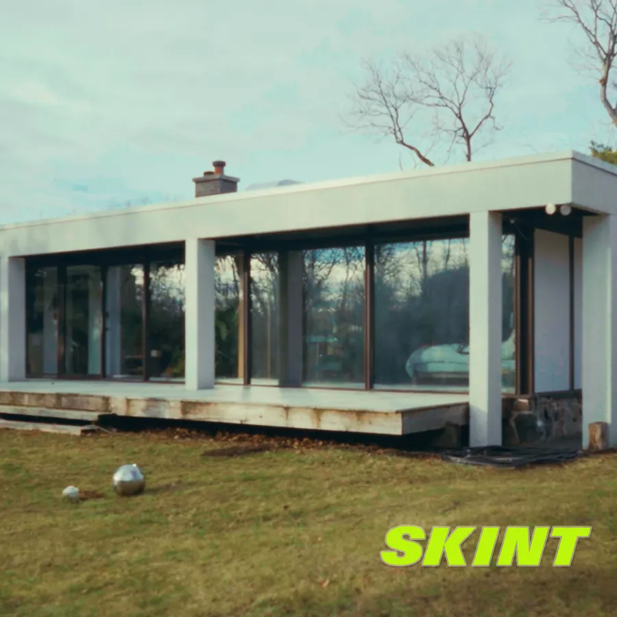 Skint artwork