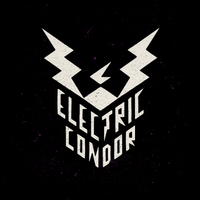 ELECTRIC CONDOR by ELECTRIC CONDOR