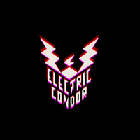 Don't Believe by Electric Condor