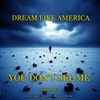 YOU DON'T SEE ME - DREAM LIKE AMERICA