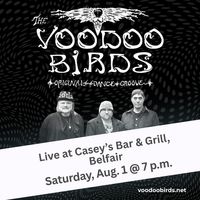 The Voodoo Birds live @ Casey's Bar & Grill