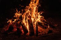Meet and Greet/Campfire