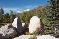 Clean Up in the John Denver Sanctuary