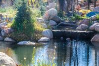 Picnic in The John Denver Sanctuary