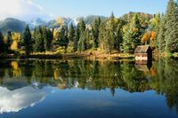 Naturalist Walk:  Aspen Center for Environmental Studies (ACES)